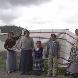 Showing the hammock.