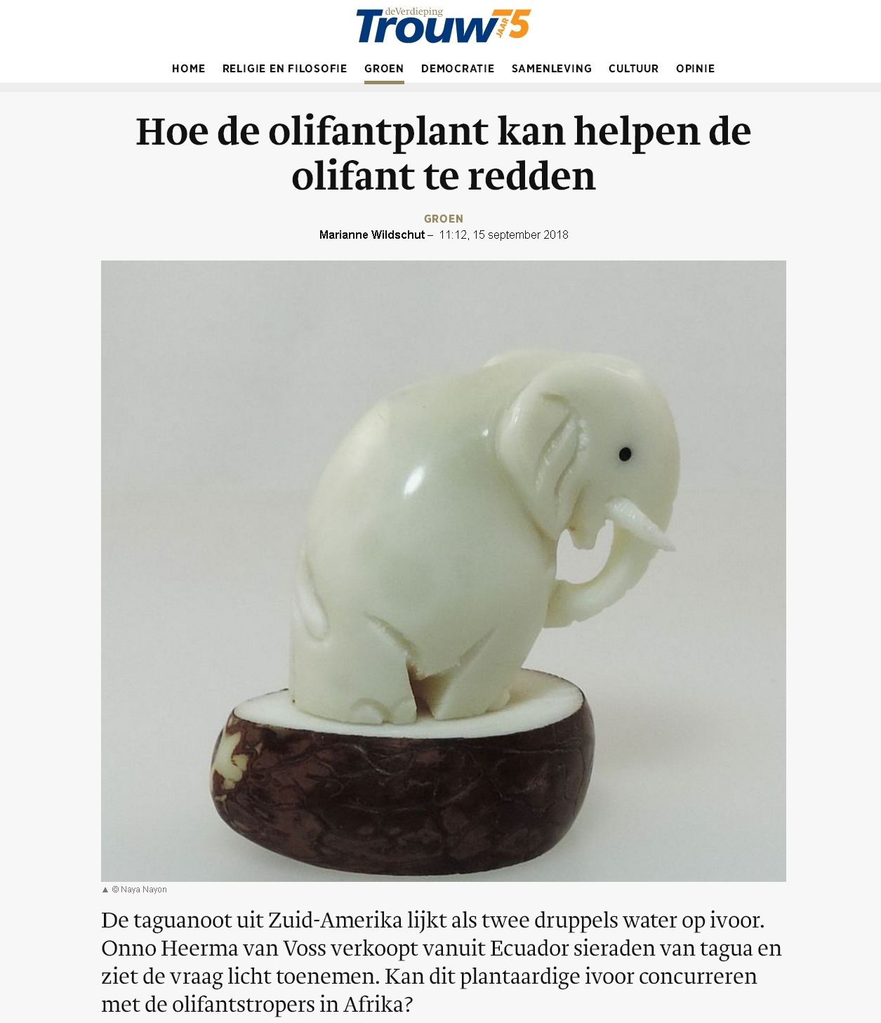 Hoe de olifantplant kan helpen de olifant te redden